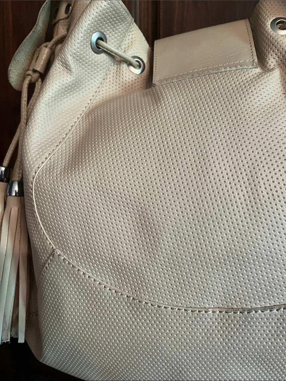 Carmen Steffens Leather Tassel Beige Hobo Purse